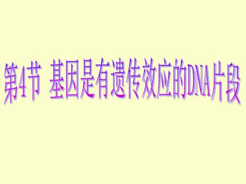 基因是有遗传效应的DNA片段