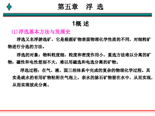 2.第五章 浮选