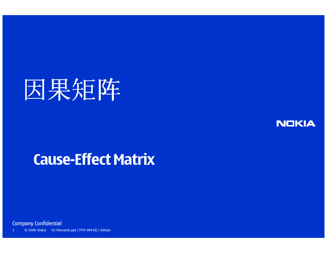 因果矩阵图 Cause-Effect%20Matrix