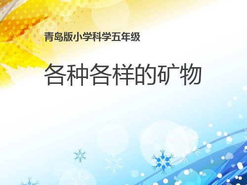 《各种各样的矿物》PPT