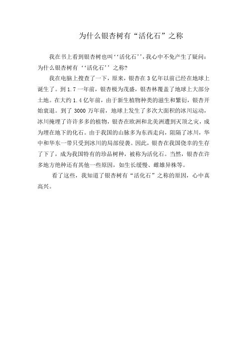 小学生作文：为什么银杏树有“活化石”之称
