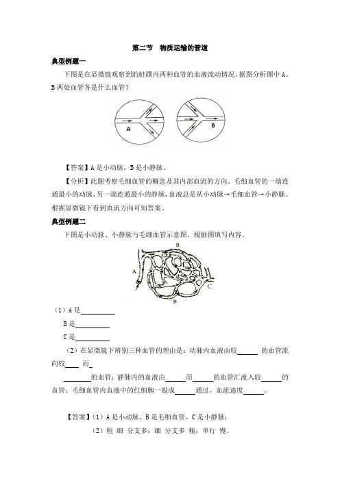 生物鲁科版七年级上册 第二节  物质运输的管道
