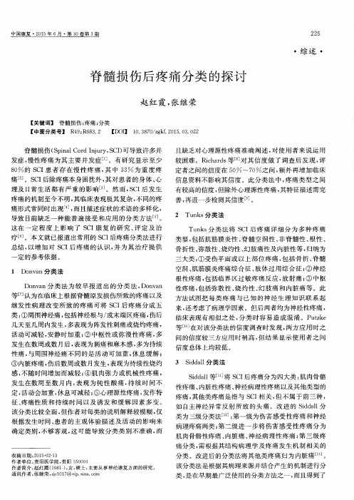 脊髓损伤后疼痛分类的探讨