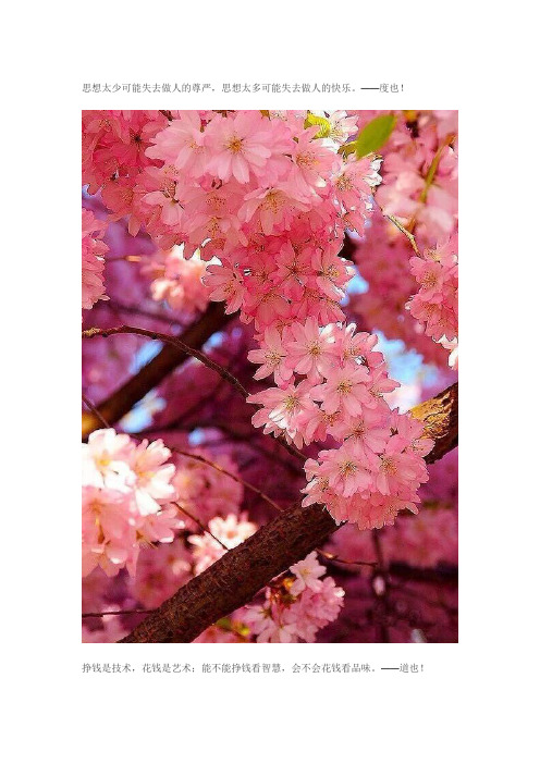 美了眼醉了心(图片)
