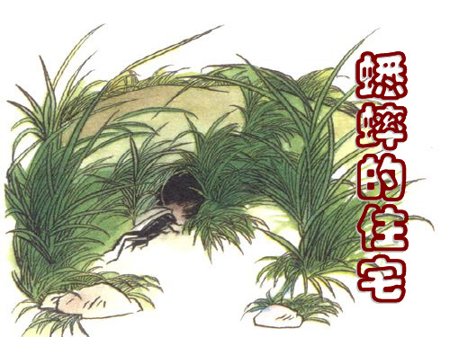 四年级语文7蟋蟀的住宅课件