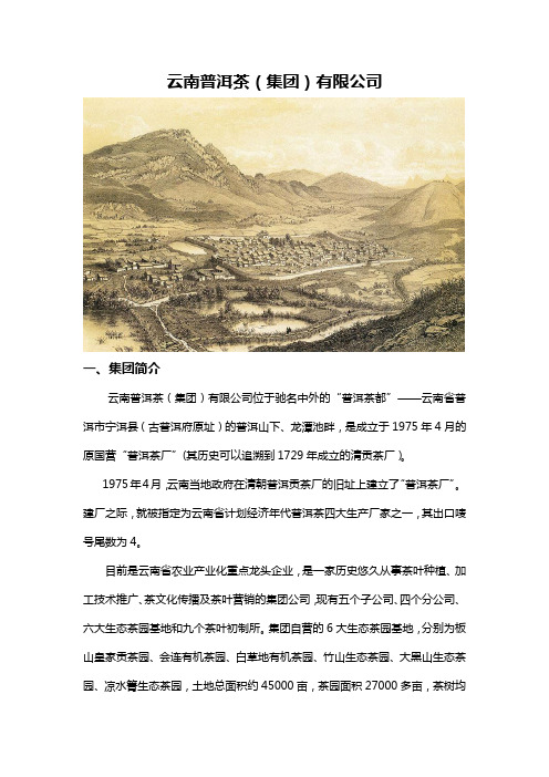 云南普洱茶(集团)有限公司简介