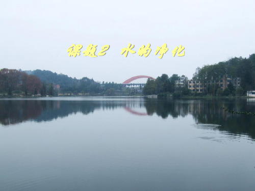 《水的净化》自然界的水PPT课件六
