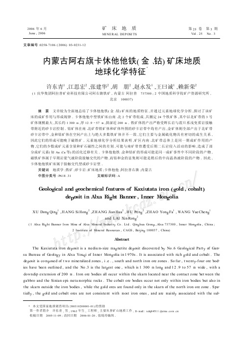 内蒙古阿右旗卡休他他铁(金、钴)矿床地质地球化学特征