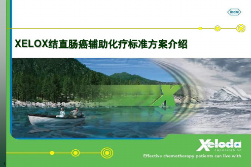 XELOX在不同不良反应下标准用法