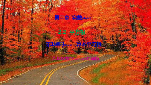 八年级数学上册 第二章 实数 2.2 平方根第1课时 算术平方根教学课件