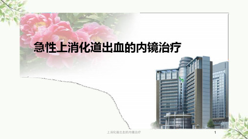 上消化道出血的内镜治疗课件
