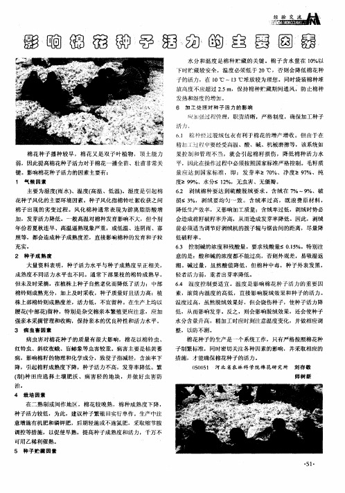 影响棉花种子活力的主要因素