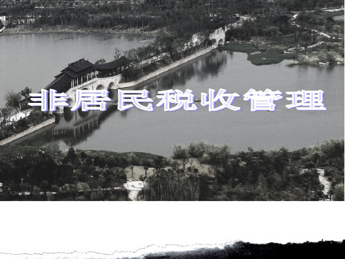 非居民税收管理课件.pptx