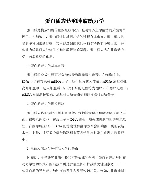 蛋白质表达和肿瘤动力学