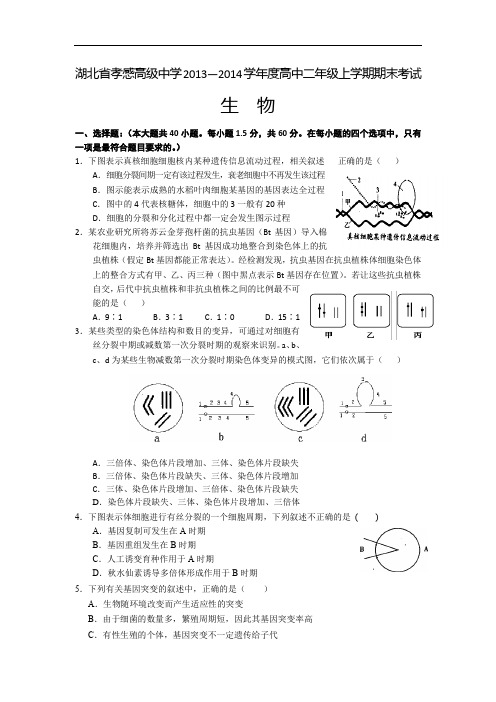 孝感高级中学2013-2014学年高二上学期期末生物试题及答案考试
