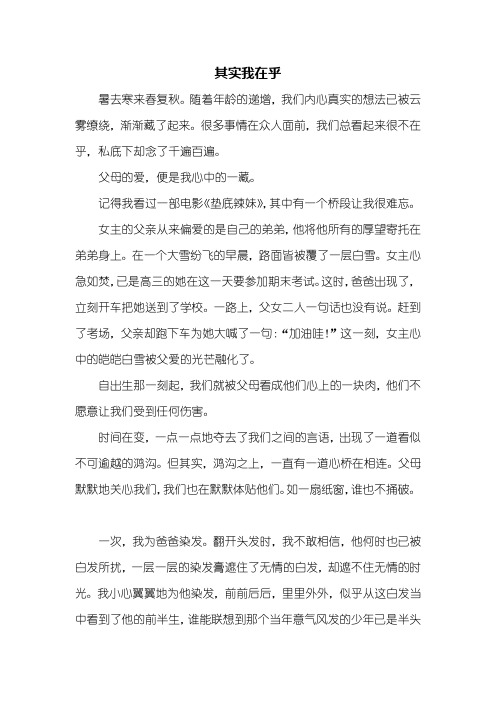 初二作文：其实我在乎作文800字