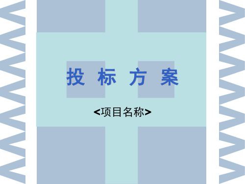 投标方案ppt模板