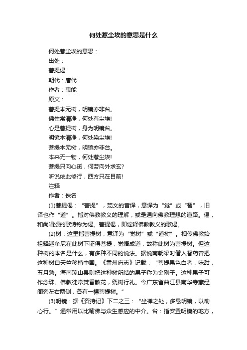 何处惹尘埃的意思是什么