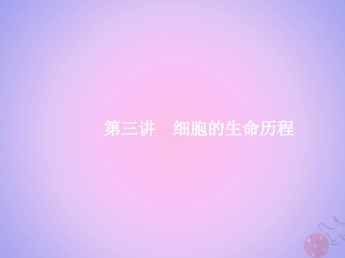 2019高考生物二轮复习-专题一 细胞生物学 第3讲 细胞的生命历程课件