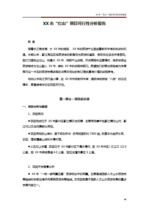 XX市“它山”项目可行性分析报告