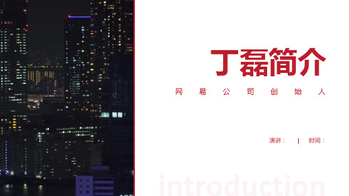 丁磊简介-丁磊介绍丁磊人物简介PPT(经典版)