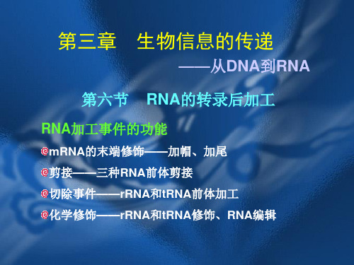 第3章 RNA的转录-RNA加工