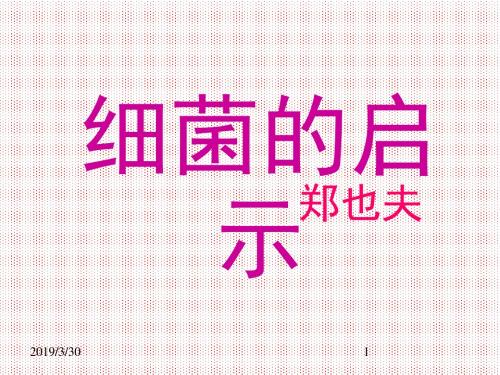 2.1《细菌的启示教学设计》课件北师大版八年级下册(2)