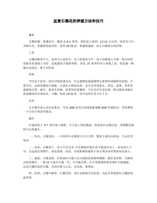 盆景石榴花的养殖方法和技巧