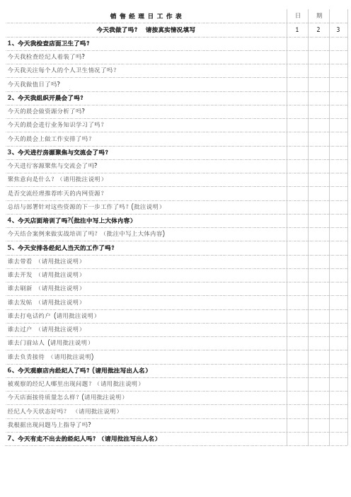 销售经理日工作表