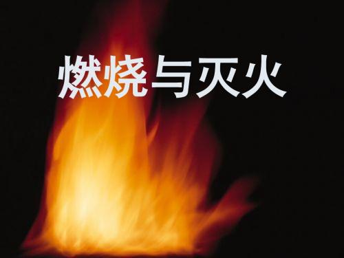 沪教版化学九上4.1《燃烧与灭火》 ppt课件(共23张PPT)