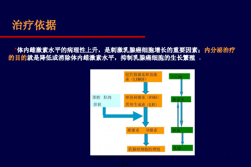 乳腺癌的内分泌治疗医学知识专题宣讲培训课件