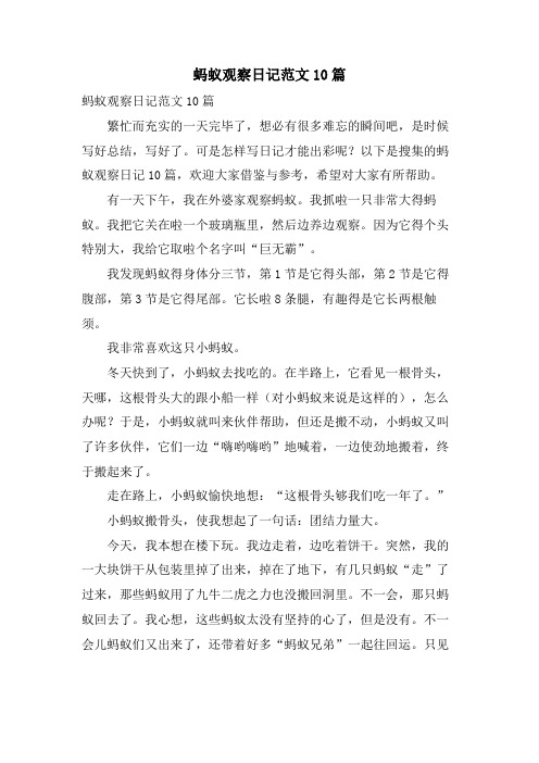 蚂蚁观察日记范文10篇