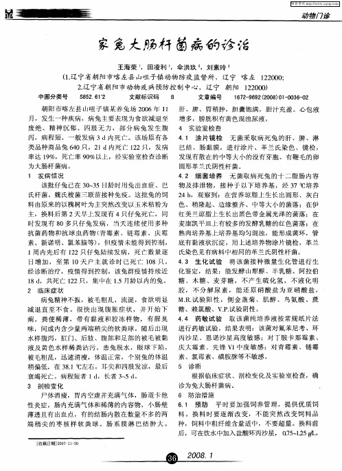 家兔大肠杆菌病的诊治