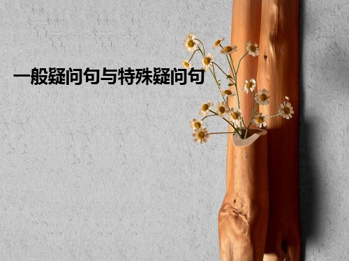 一般疑问句与特殊疑问句