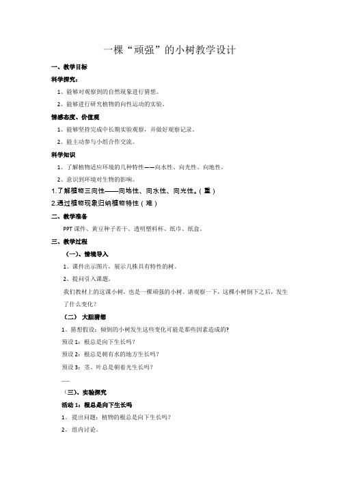 六年级上册科学教案-1.1一棵“顽强”的小树 ｜湘科版