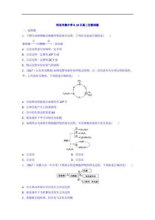 河北辛集中学2017-2018学年高二下学期生物限时训练(5.16)