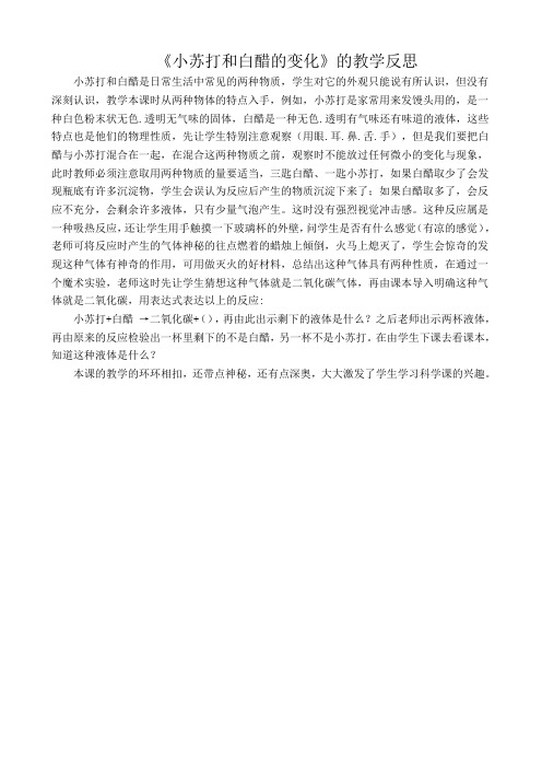 小苏打和白醋的变化教学反思