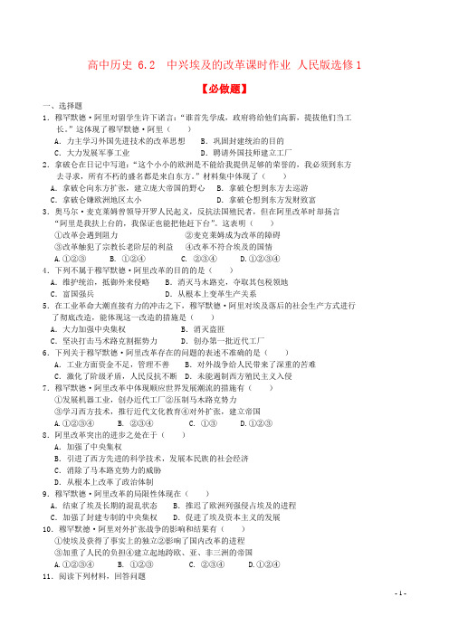 高中历史 6.2  中兴埃及的改革课时作业 人民版选修1