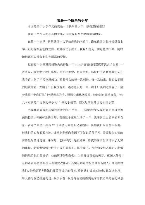 我是一个快乐的少年_小学作文