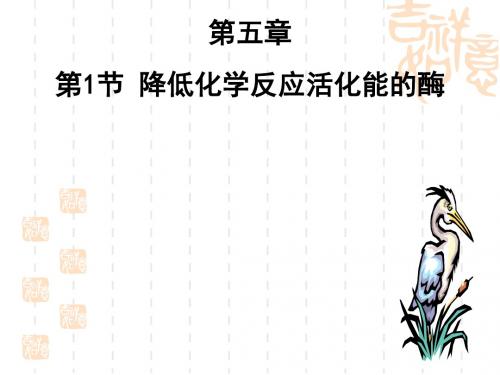 第1节 降低化学反应活化能的酶
