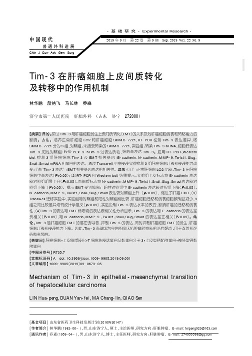 tim-3在肝癌细胞上皮间质转化及转移中的作用机制