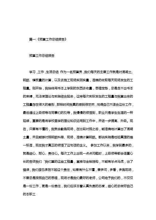 全面预算总结报告