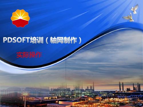 PDSOFT培训二(轴网制作)