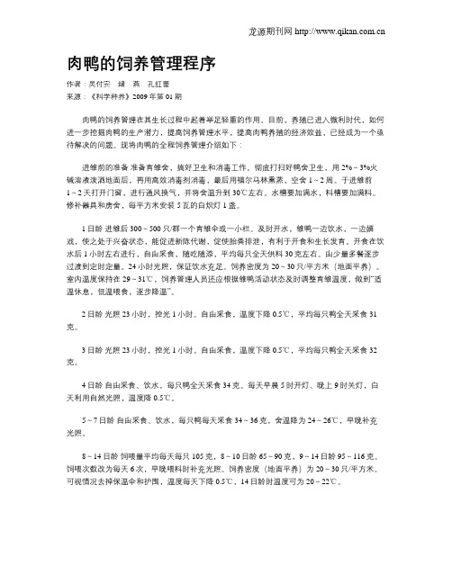 肉鸭的饲养管理程序
