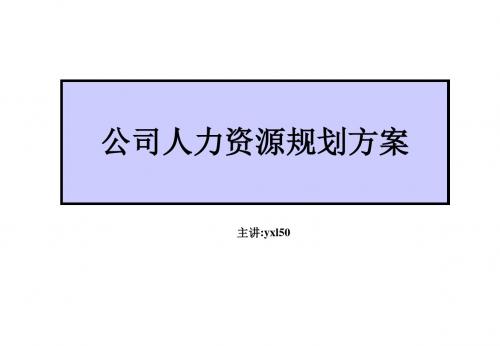 公司2012人力资源规划方案.
