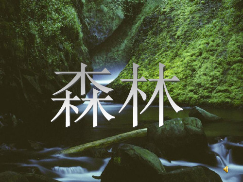 2享受森林精品PPT课件