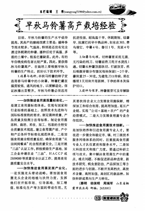 早秋马铃薯高产栽培经验