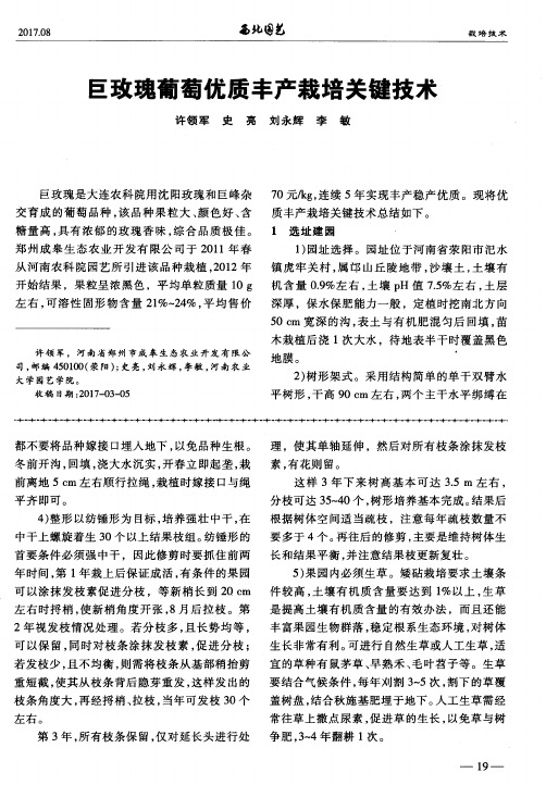巨玫瑰葡萄优质丰产栽培关键技术