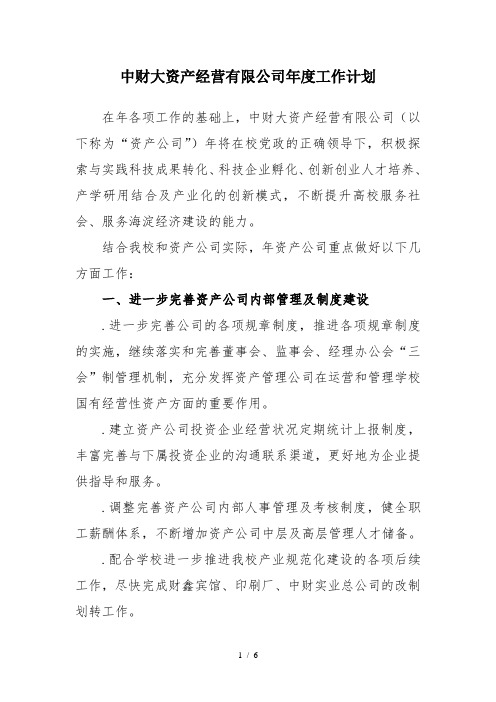 中财大资产经营有限公司年度工作计划