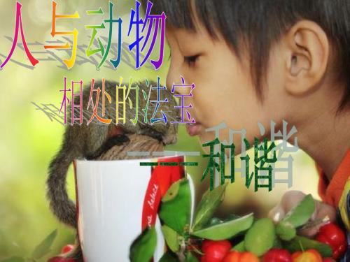 人与动物